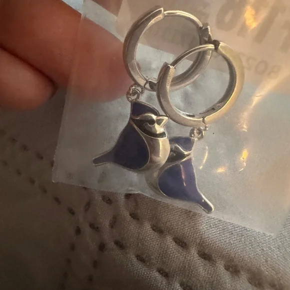 Blue Jay Jewelry Set - Picture 4 of 6